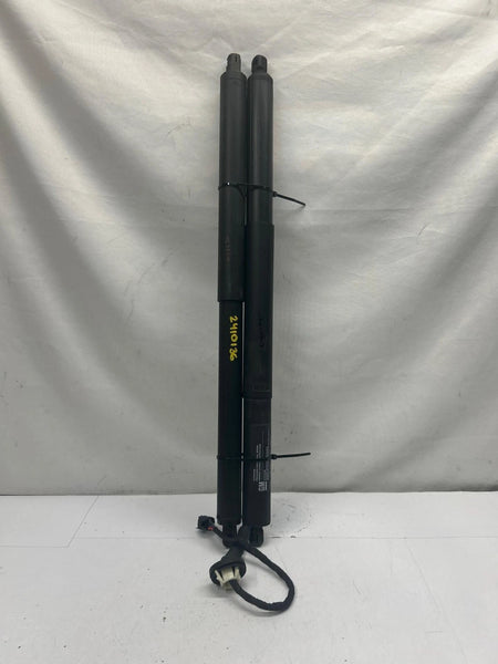 2019 CHEVY EQUINOX REAR LIDGATE STRUT SHOCK SUPPORT RIGHT & LEFT PAIR ASSY