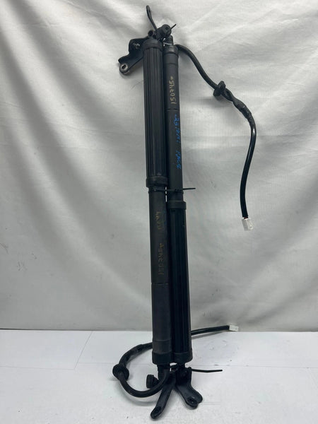 2019 TO 2023 TOYOTA RAV-4 LIFTGATE STRUT SHOCK SUPPORT PAIR 6891042060 6892042020