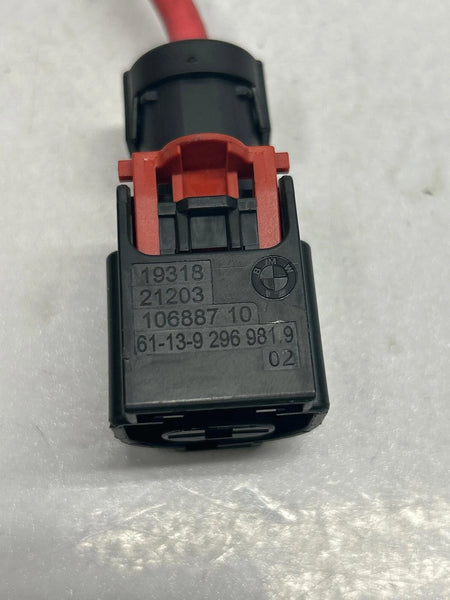 2020 BMW X2 BATTERY POSITIVE BATTERY CABLE ASSY OEM 858905002