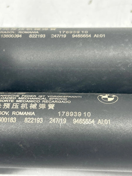 2018 2019 2020 2021 2022 2023 BMW X2 TAIL GATE STRUT SUPPORT SHOCK PAIR ASSY