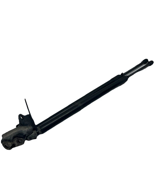2016 TOYOTA 4RUNNER LIDGATE STRUT SHOCK SUPPORT PAIR ASSY