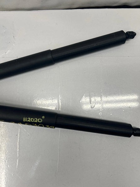 2017 TO 2019 HYUNDAI SANTA FE TAILGATE STRUT SHOCK SUPPORT PAIR 84841S1100 84831S1100