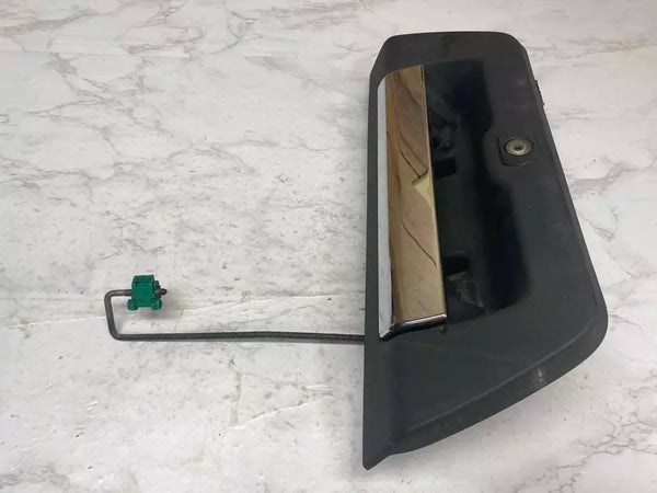 2015 2017 FORD F150 REAR VIEW CAMERA TAILGATE MOUNTED W/HANDLE OEM FL3Z19G490D