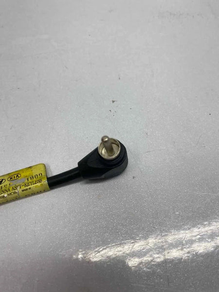2015 TO 2019 HYUNDAI SONATA KEYLESS ENTRY ANTENNA CABLE HARNESS OEM C195411000
