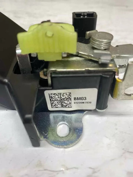 19 20 21 22 23 KIA FORTE ACTUADOR DE BLOQUEO DE TAPA CONJUNTO DE PESTILLO DE TAPA OEM 81230M7030