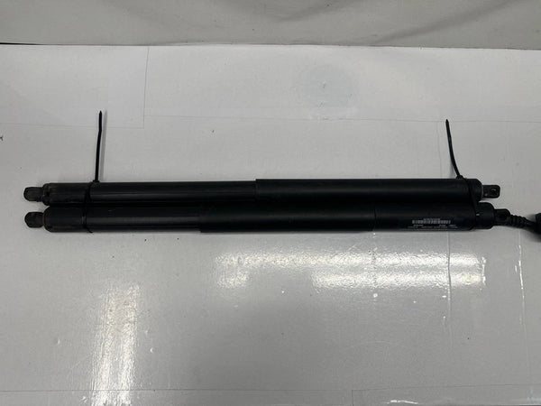2018 TO 2024 CHEVY EQUINOX TAILGATE STRUTTS SHOCKS SUPPORTS PAIR COMPLETE OEM 815374475