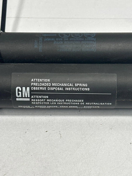 2018 TO 2024 CHEVY EQUINOX TAILGATE STRUTTS SHOCKS SUPPORTS PAIR COMPLETE OEM 815374475