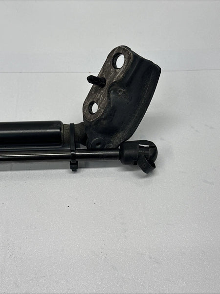 2014 TO 2024 TOYOTA 4RUNNER REAR TAIL GATE LIFT JACKS PAIR ASSY OEM 689080W101